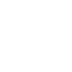 Splash Beverage Group, Inc. Share Price